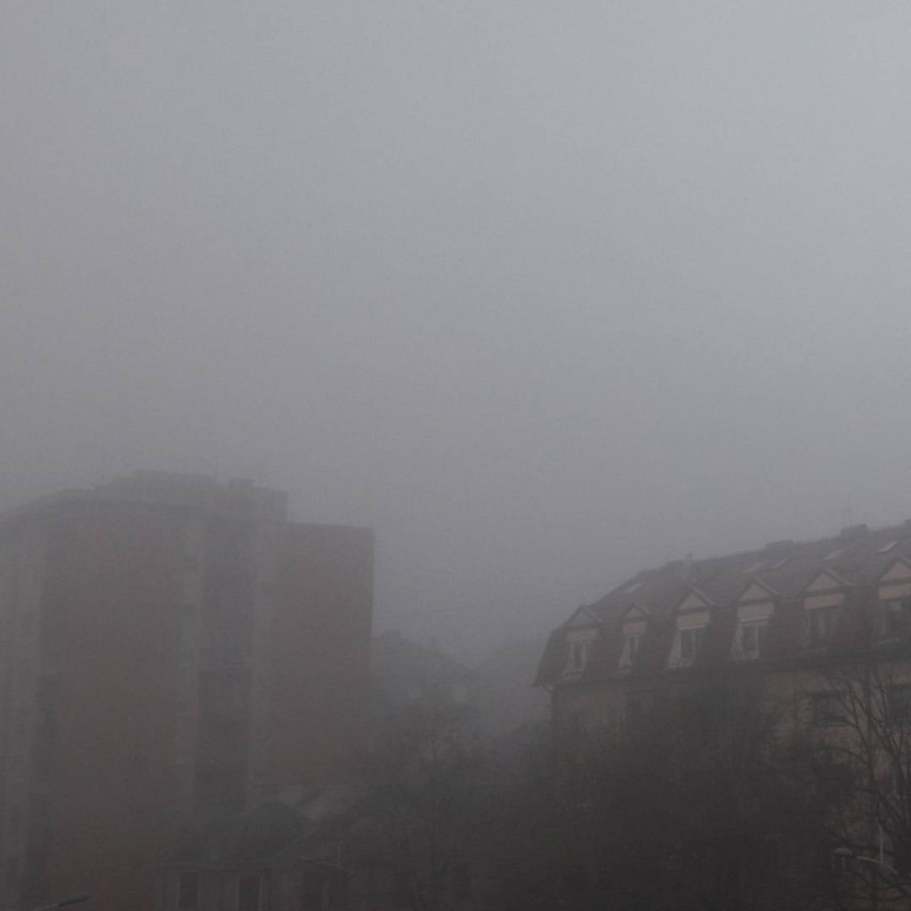 #decemberphotochallenge #day8 #fog
